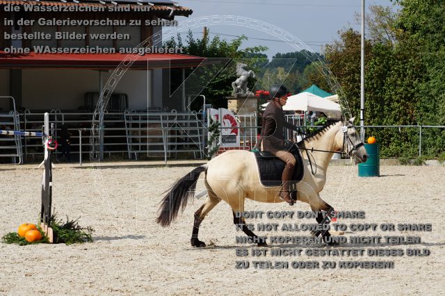 s_DSC04818.JPG